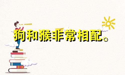 狗和猴非常相配。