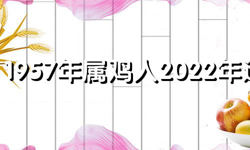 1957年属鸡人2022年运势 属鸡人2022年爱情运势