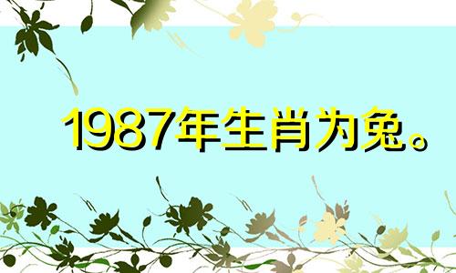 1987年生肖为兔。 2021年事业不稳定，职场上会出现矛盾。