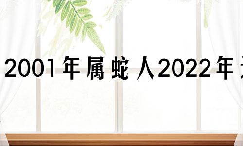 2001年属蛇人2022年运势