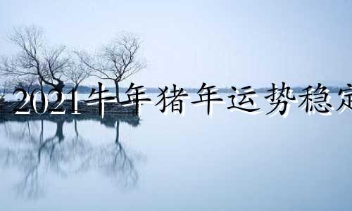 2021牛年猪年运势稳定