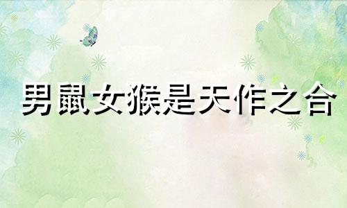 男鼠女猴是天作之合