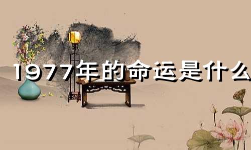1977年的命运是什么？ 1977年属蛇人的后半生命运如何？