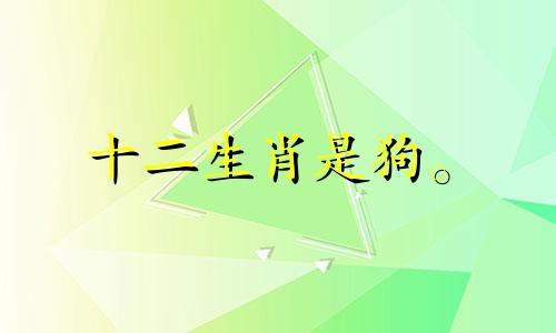 十二生肖是狗。 2021年结婚吉日是农历八月初四。