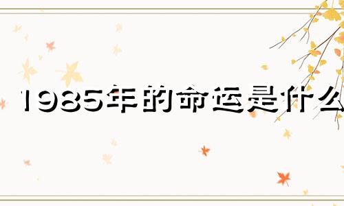 1985年的命运是什么？ 1985年出生的牛年女性的一生命运如何？