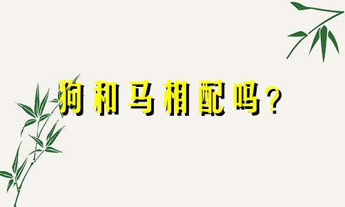 狗和马相配吗?