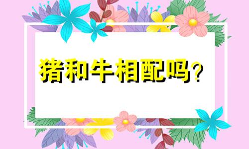 猪和牛相配吗?