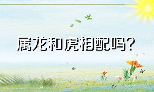 属龙和虎相配吗?