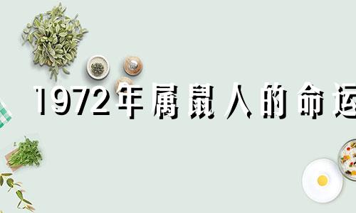 1972年属鼠人的命运 1972年属鼠人的贵人是谁?