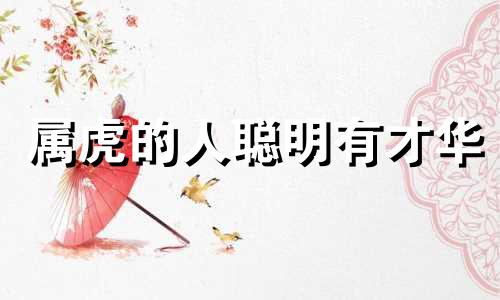 属虎的人聪明有才华