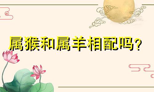 属猴和属羊相配吗?