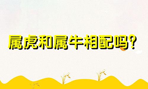 属虎和属牛相配吗？