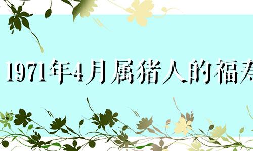 1971年4月属猪人的福寿