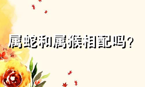 属蛇和属猴相配吗？