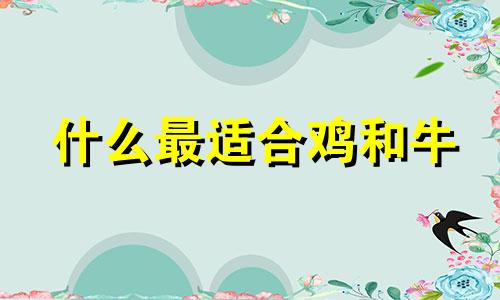 什么最适合鸡和牛