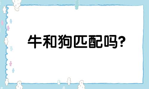 牛和狗匹配吗?