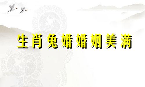 生肖兔婚婚姻美满