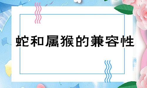 蛇和属猴的兼容性