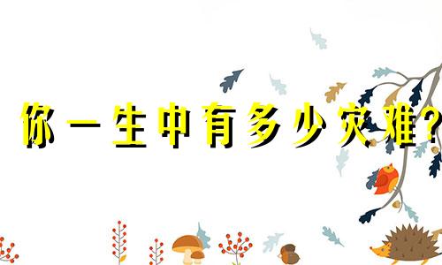 你一生中有多少灾难?