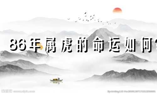 86年属虎的命运如何?
