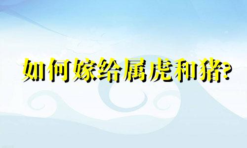 如何嫁给属虎和猪?