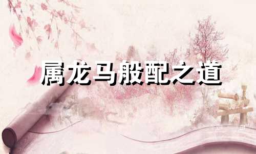 属龙马般配之道