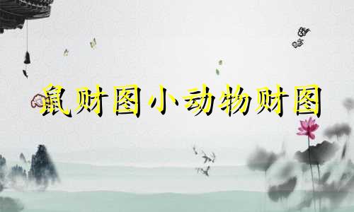 鼠财图小动物财图