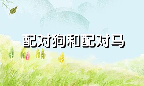 配对狗和配对马