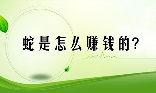 蛇是怎么赚钱的?