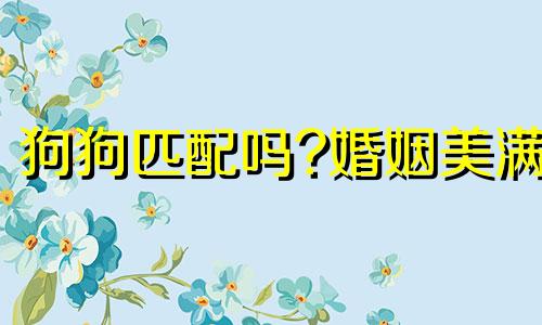 狗狗匹配吗?婚姻美满