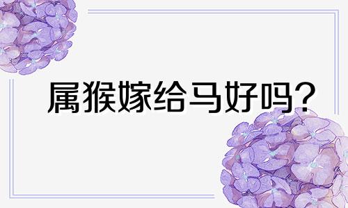 属猴嫁给马好吗?