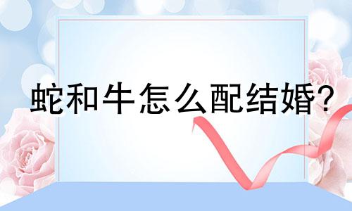 蛇和牛怎么配结婚?
