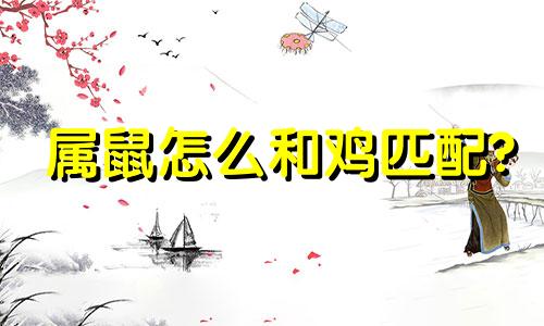 属鼠怎么和鸡匹配?