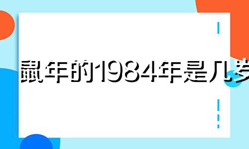 鼠年的1984年是几岁?