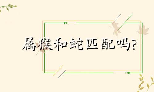 属猴和蛇匹配吗?