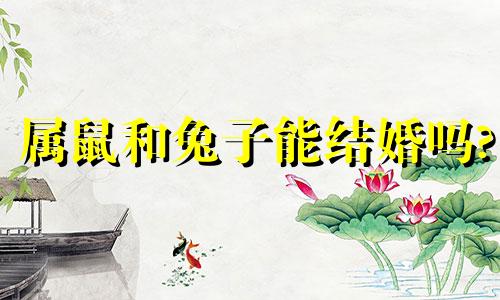 属鼠和兔子能结婚吗?