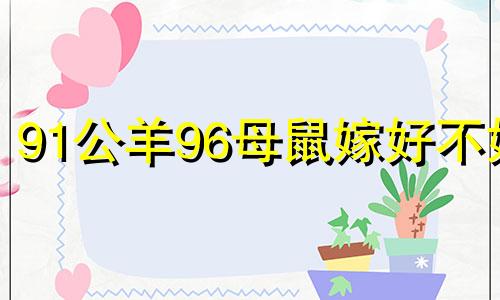 91公羊96母鼠嫁好不好