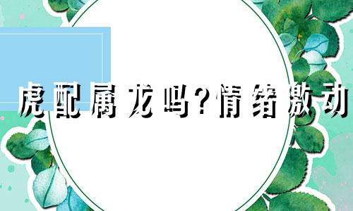 虎配属龙吗?情绪激动