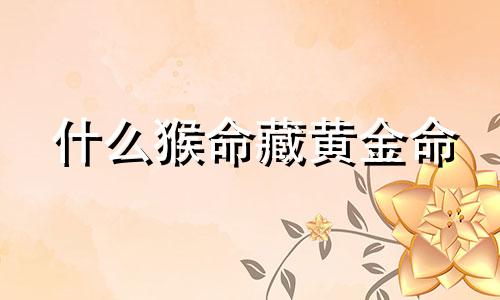 什么猴命藏黄金命
