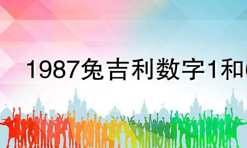1987兔吉利数字1和6