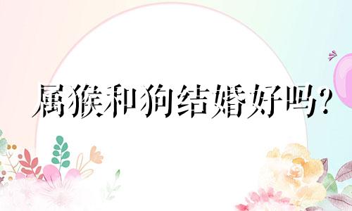 属猴和狗结婚好吗?