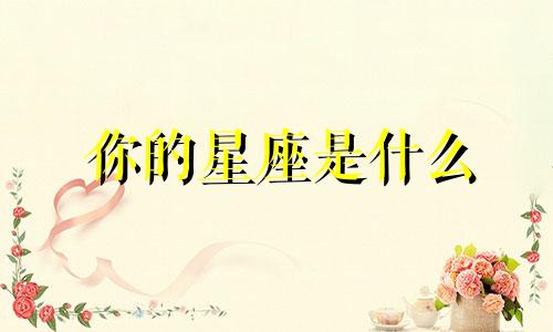 你的星座是什么