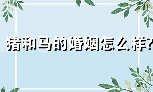 猪和马的婚姻怎么样?