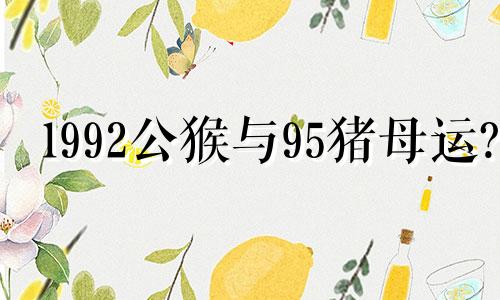 1992公猴与95猪母运?