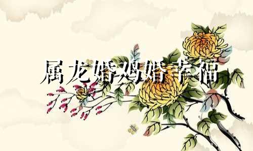 属龙婚鸡婚幸福