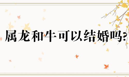 属龙和牛可以结婚吗?