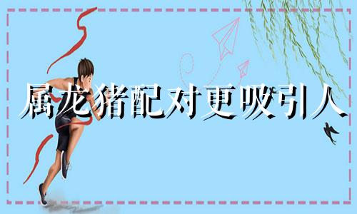 属龙猪配对更吸引人