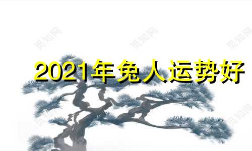 2021年兔人运势好