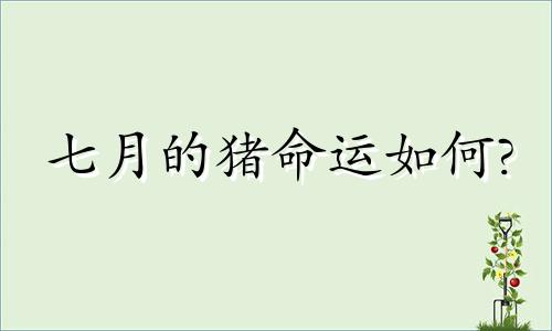 七月的猪命运如何?