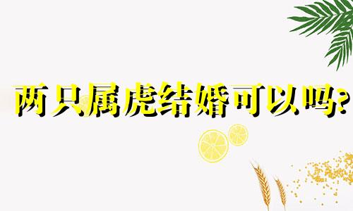 两只属虎结婚可以吗?